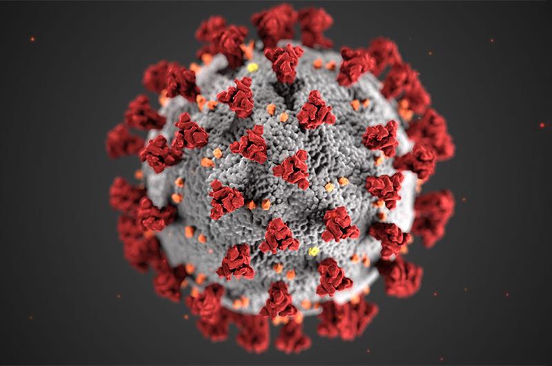 COVID-19 virus